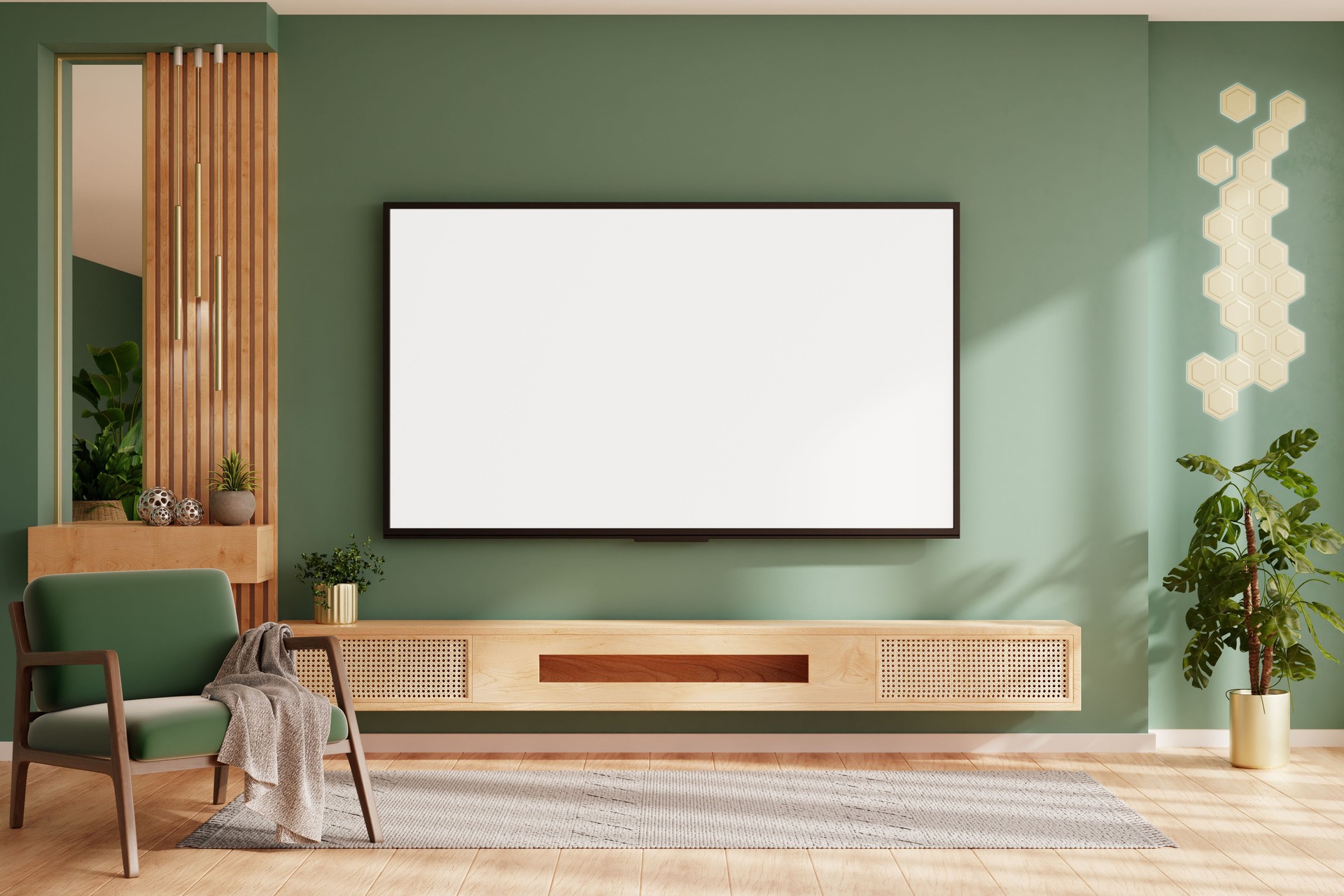 Cover for your Television's
